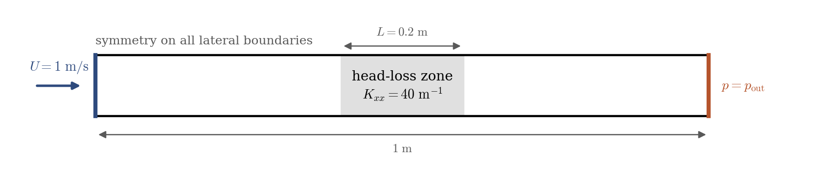 Duct with a velocity inlet, a pressure outlet, symmetry on all lateral boundaries, and a shaded head-loss zone in the middle.