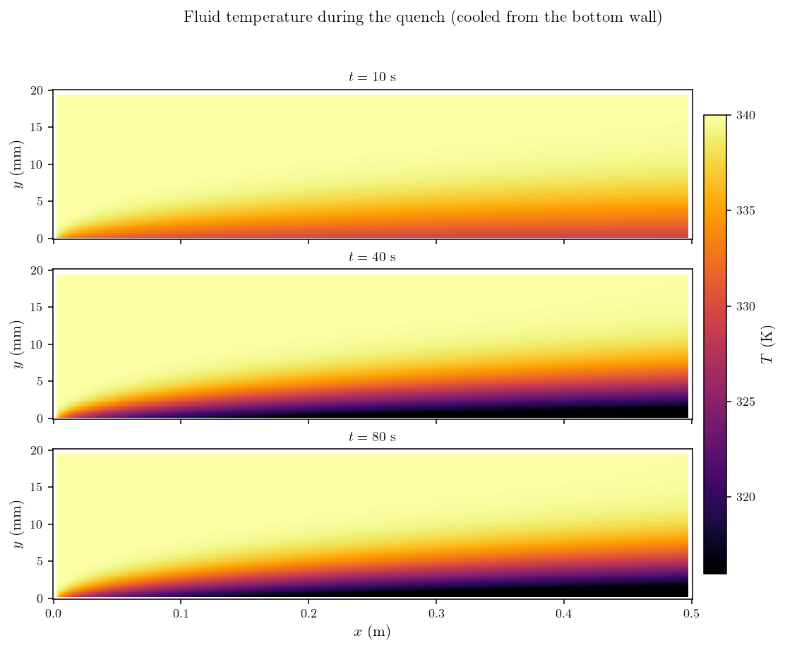 Fluid temperature at t = 10, 40 and 80 s: a cold thermal boundary layer grows from the bottom wall.