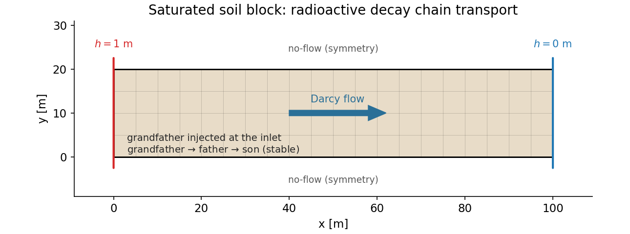 Saturated soil block with a high head on the left, a low head on the right, no-flow top and bottom, the grandfather injected at the inlet and decaying to father then son downstream.